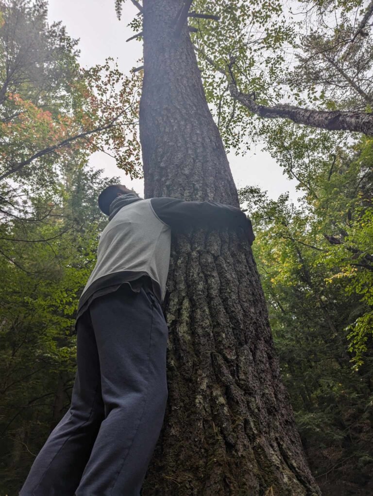 Association messenger creation d5781cdc 7f65 4245 8862 ac6543ef20e2