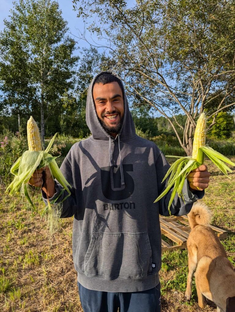 messenger creation 9196d5dc 7ac8 4953 8242 45a5e65d8ec7